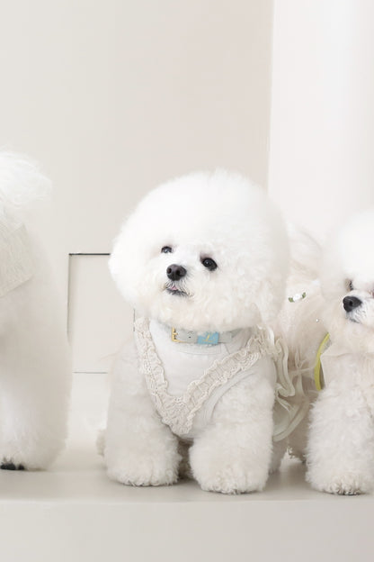 Loving Collar ライトグレー