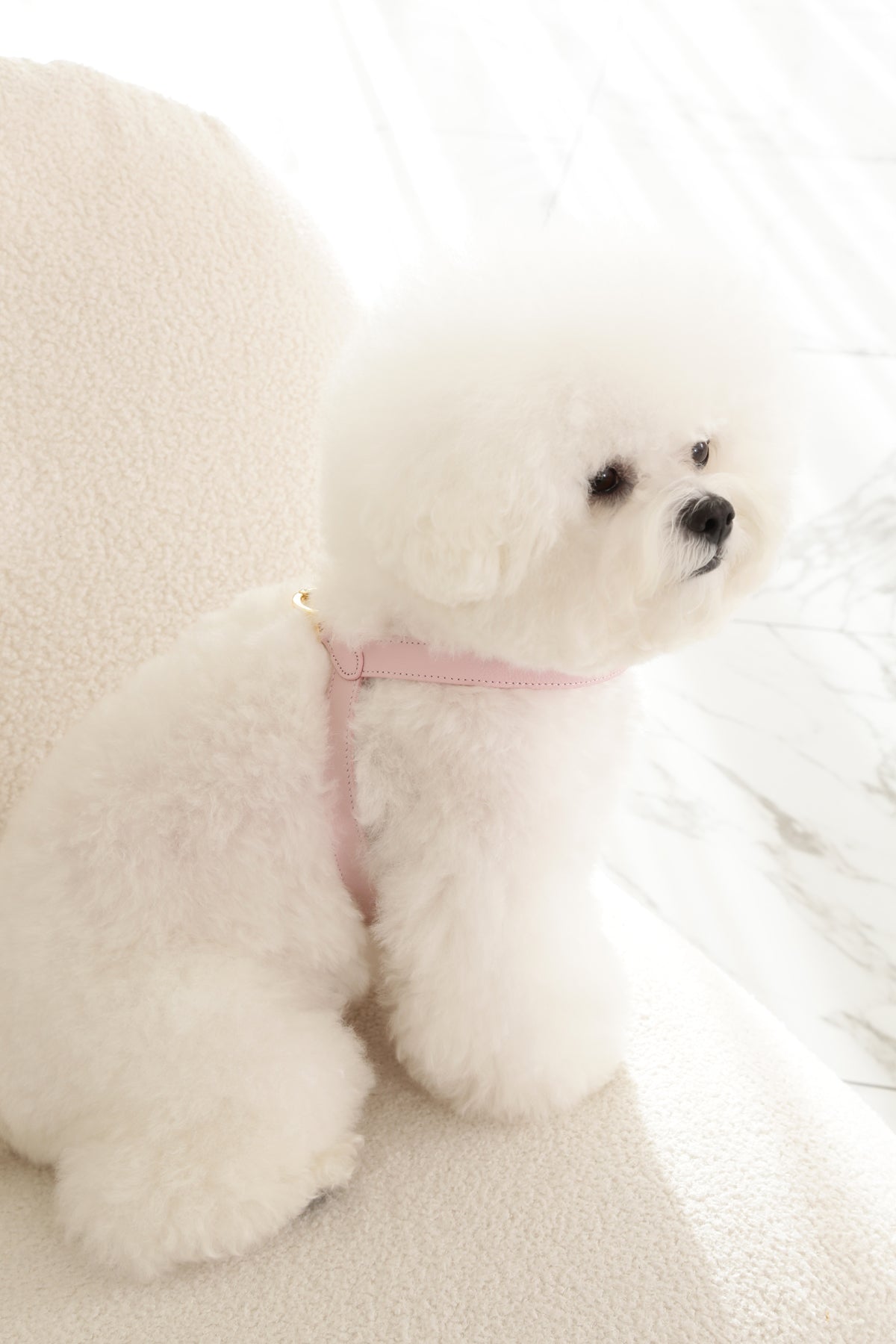 VV Harness 2tone パステルピンク×ブルー