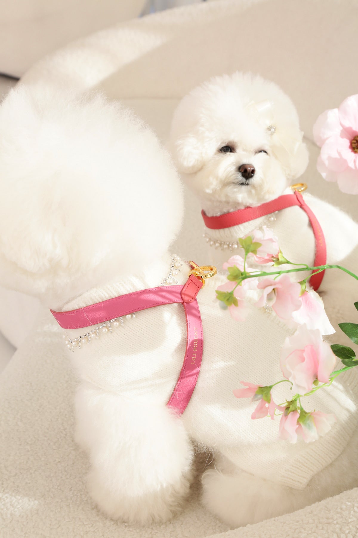 VV Harness 2tone ローズコーラル×アザレア