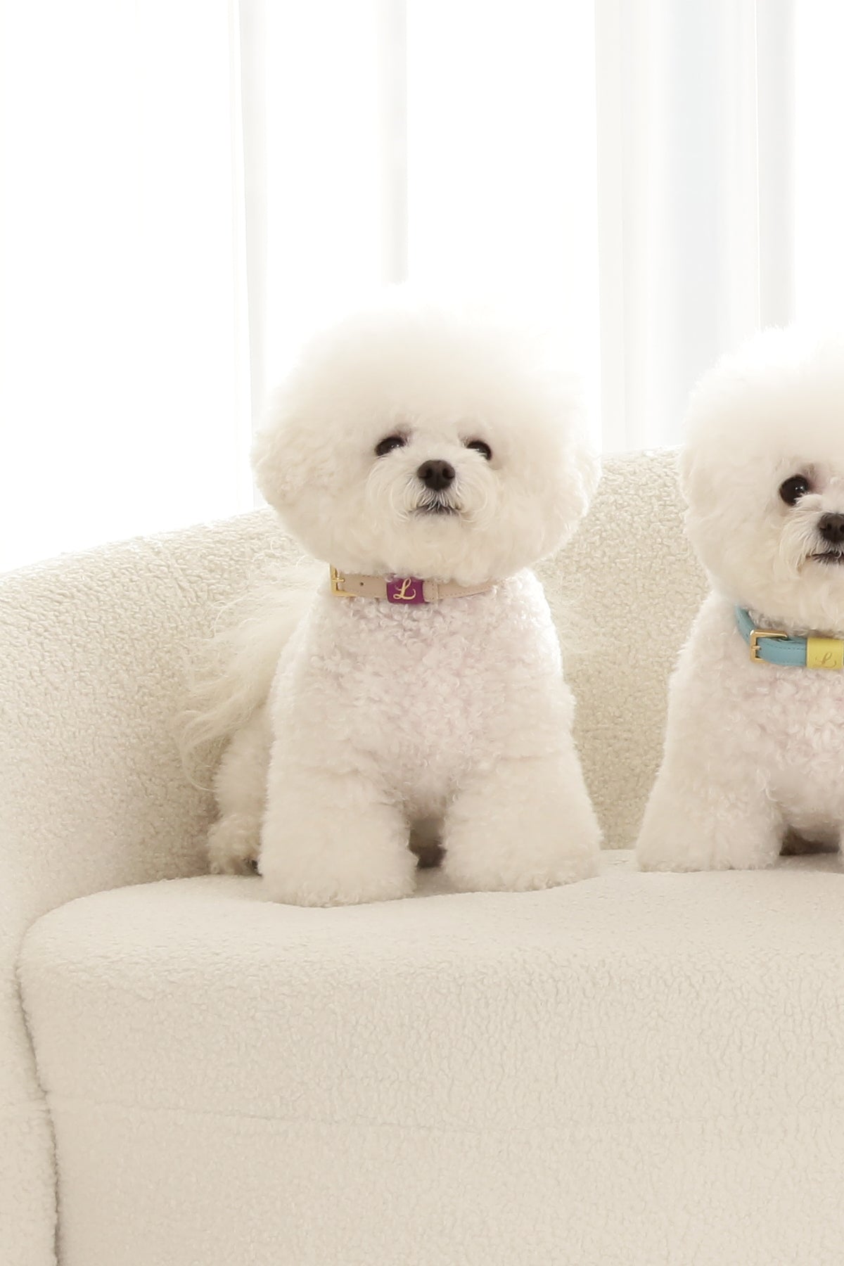 Loving Collar クリームベージュ