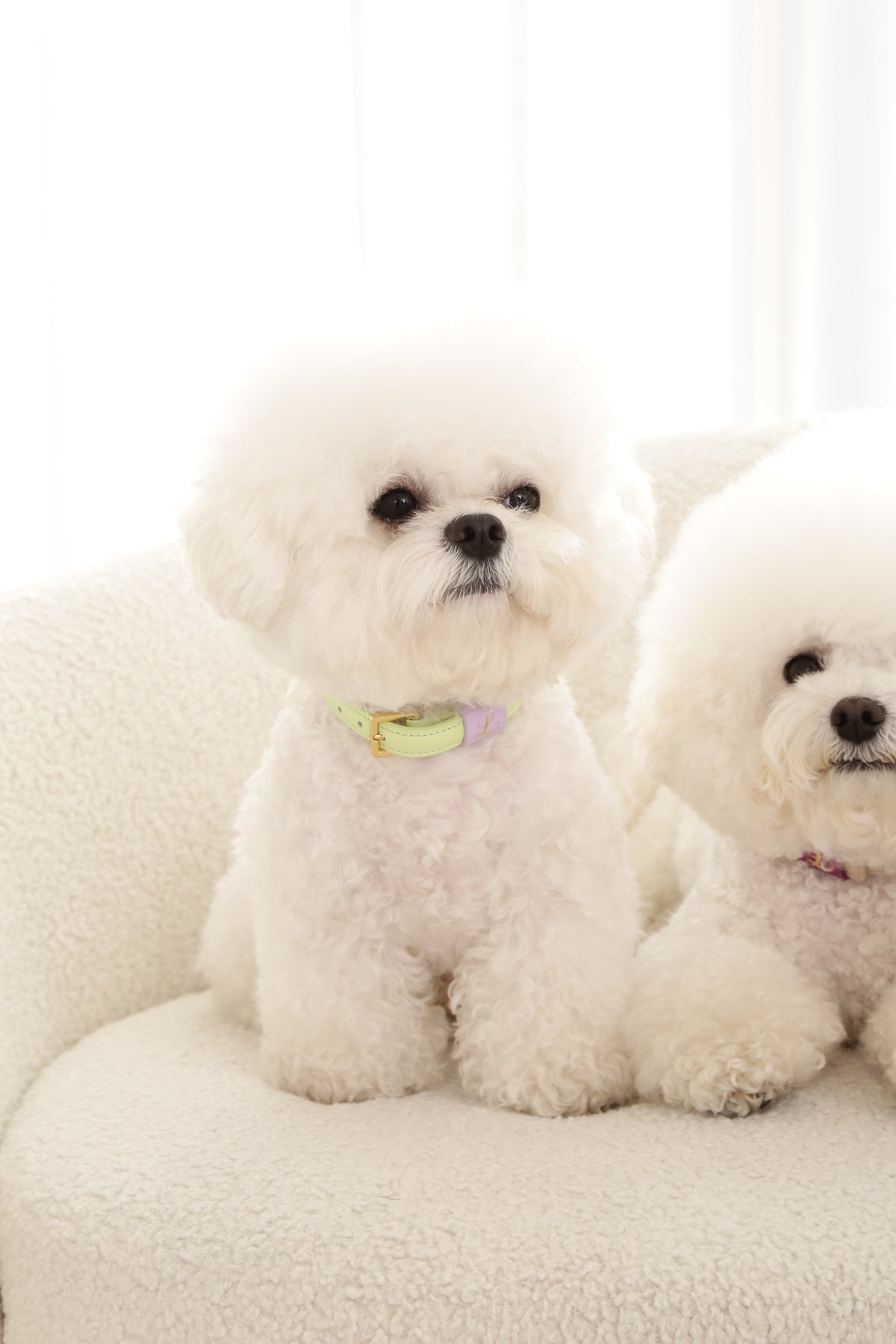 Loving Collar メロン