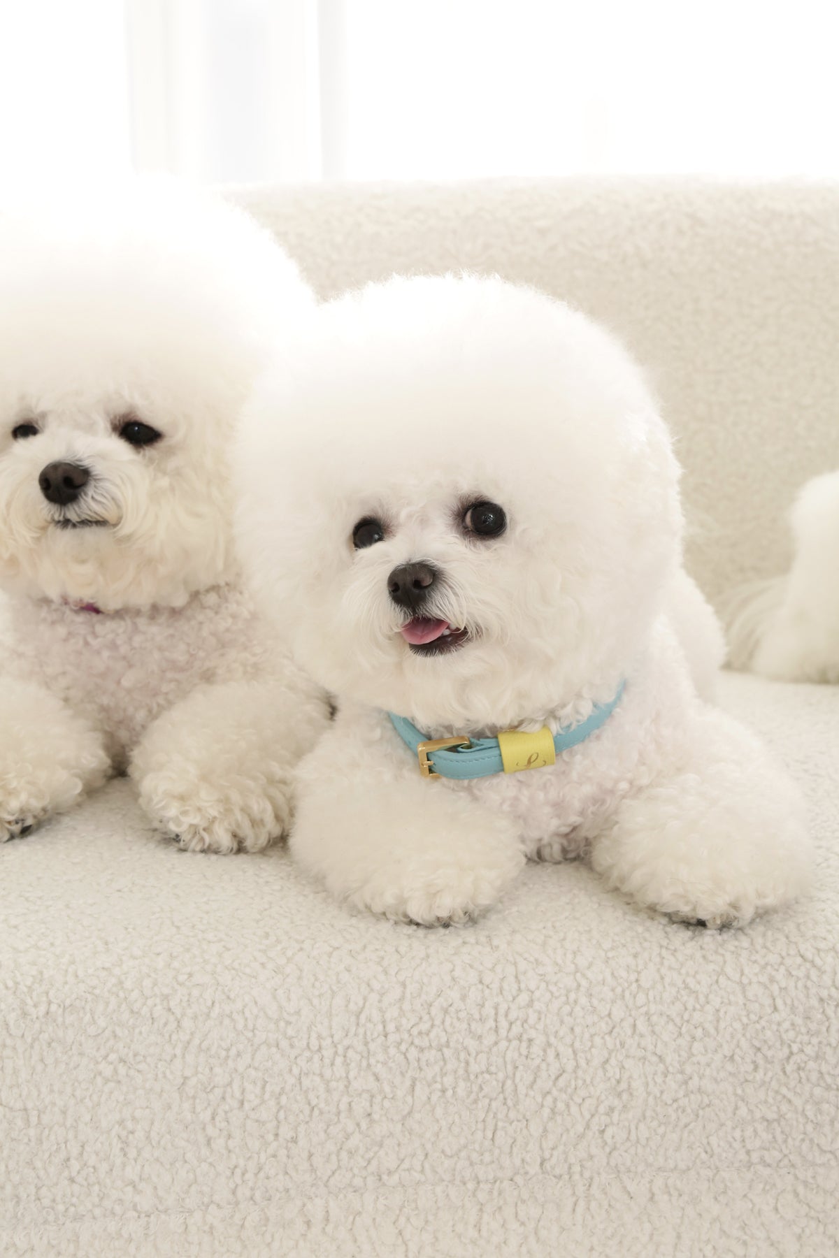 Loving Collar ミント