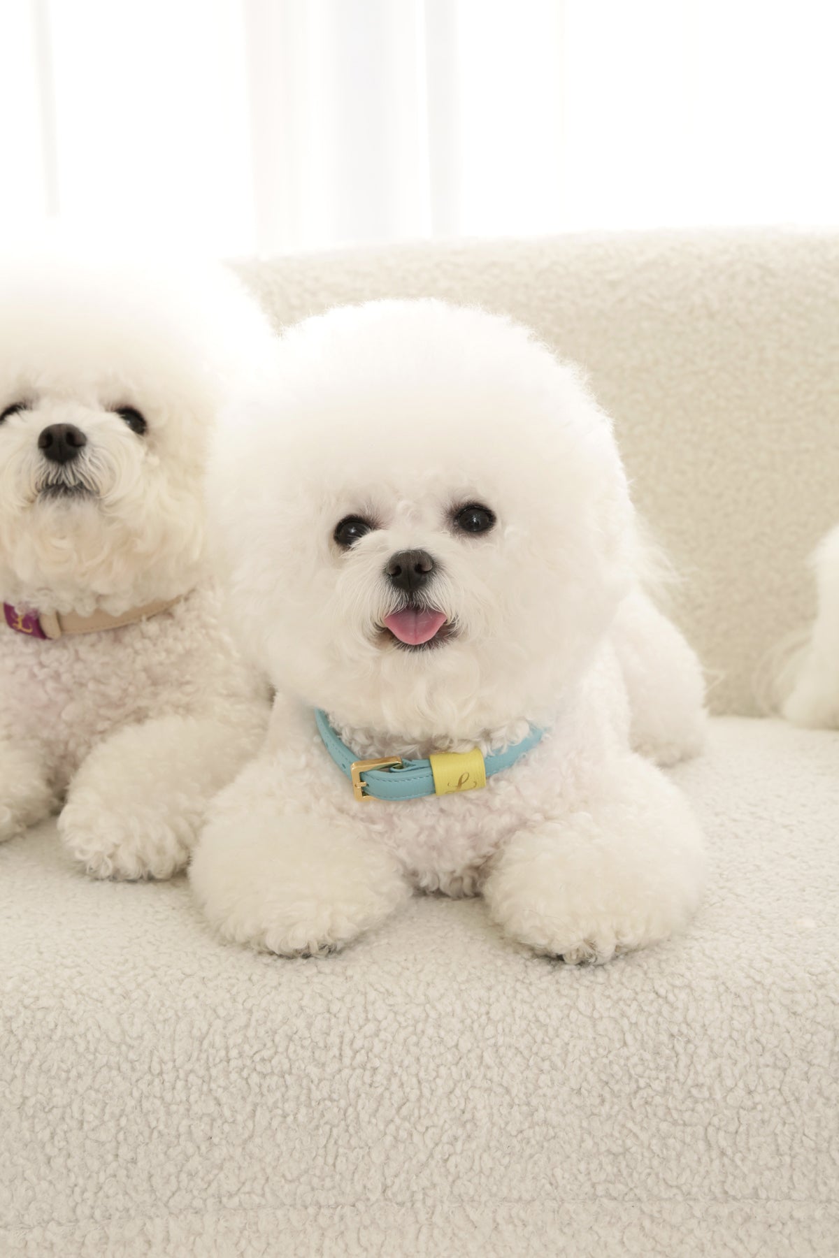 Loving Collar ミント