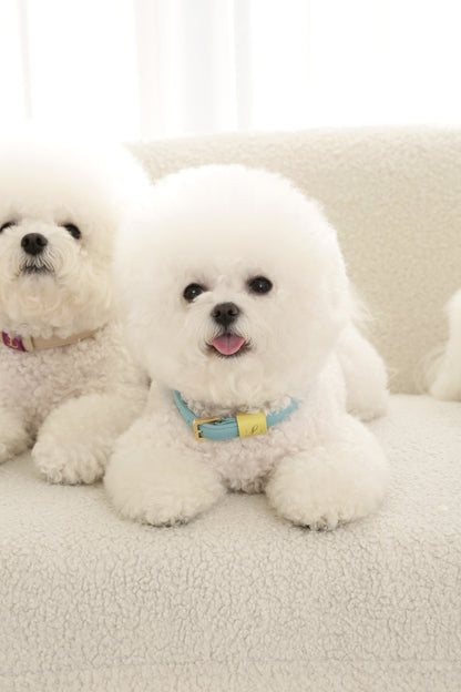 Loving Collar ミント