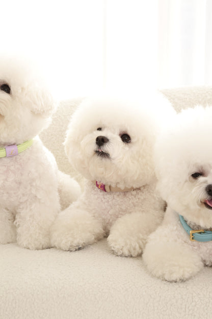 Loving Collar クリームベージュ