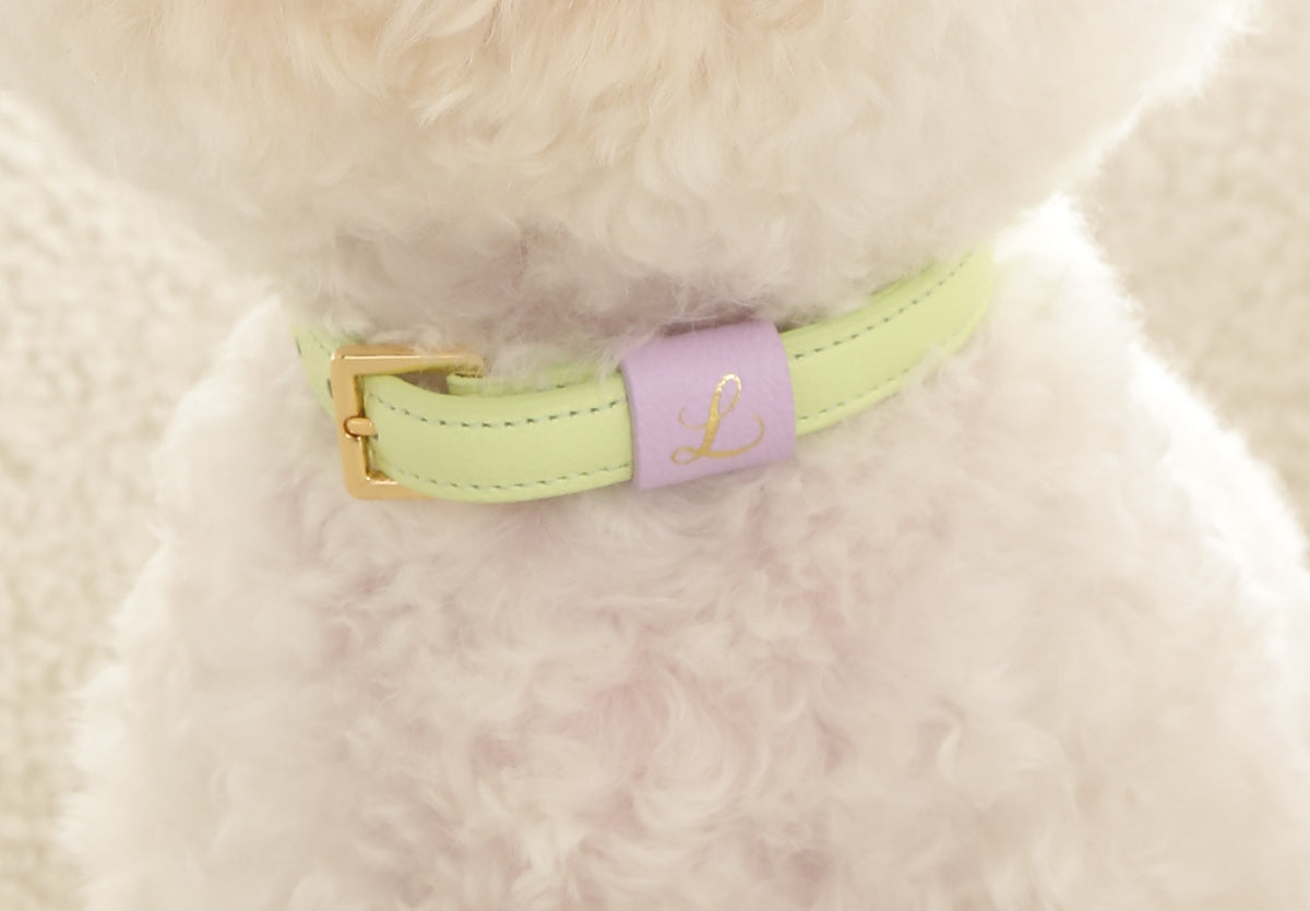 Loving Collar メロン