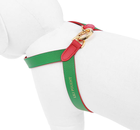 VV Harness 2tone レッド×グリーン