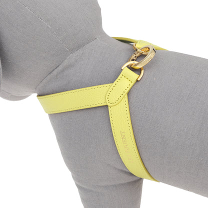 VV Harness 2tone レモン×メロン