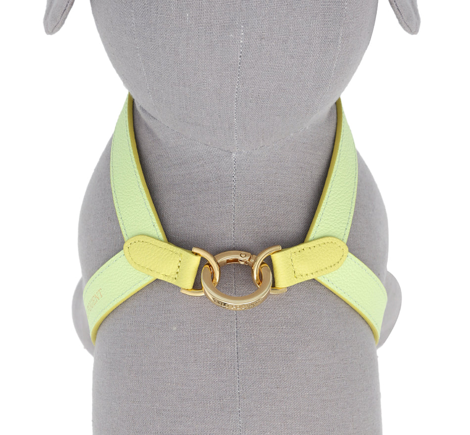 VV Harness 2tone レモン×メロン