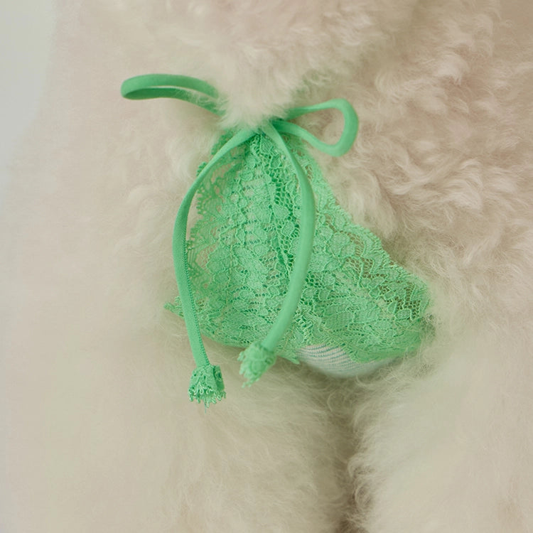 Petit Camisole Top 全3色