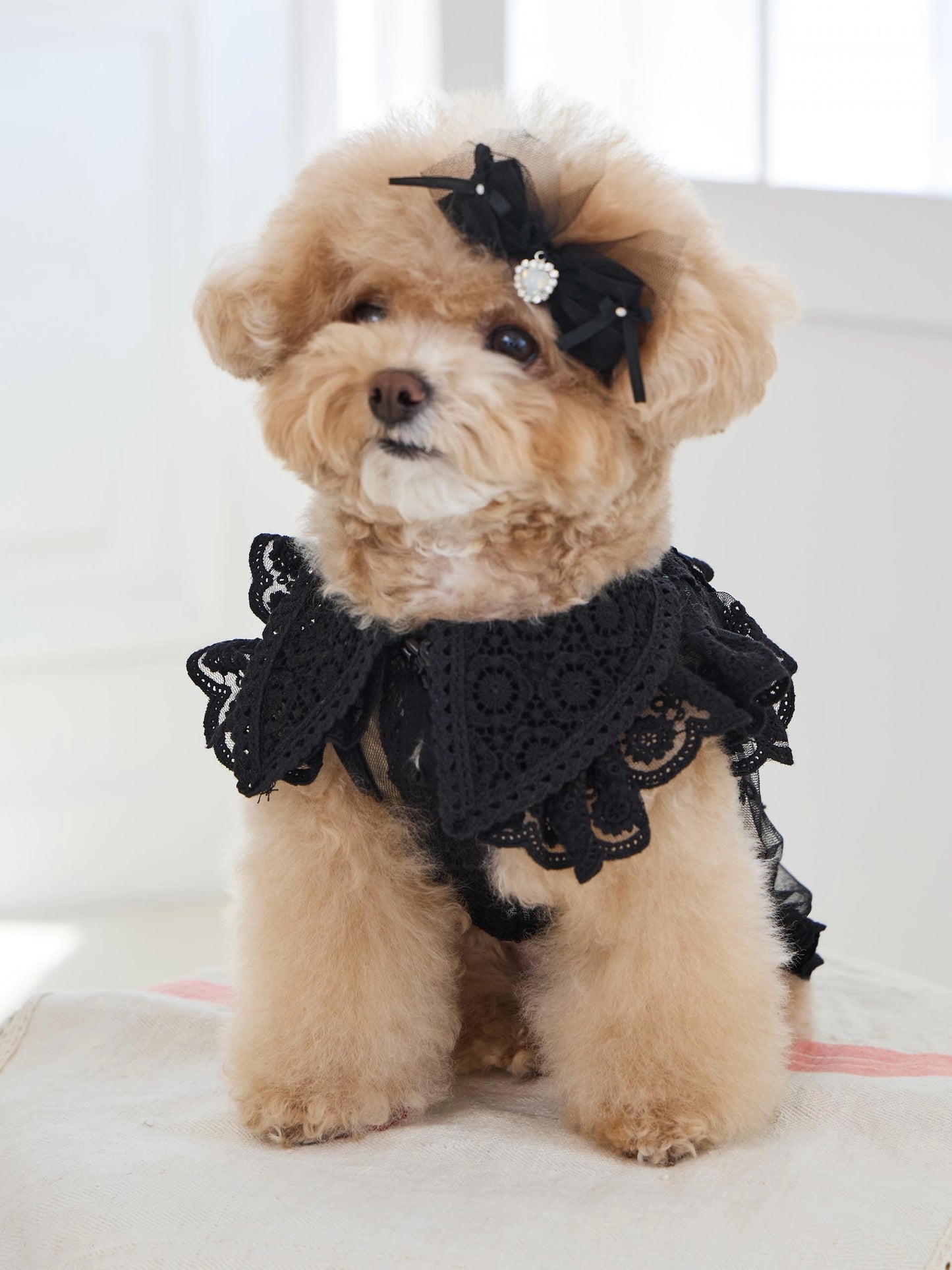 Sweetie Bebe Hairpin 全3色