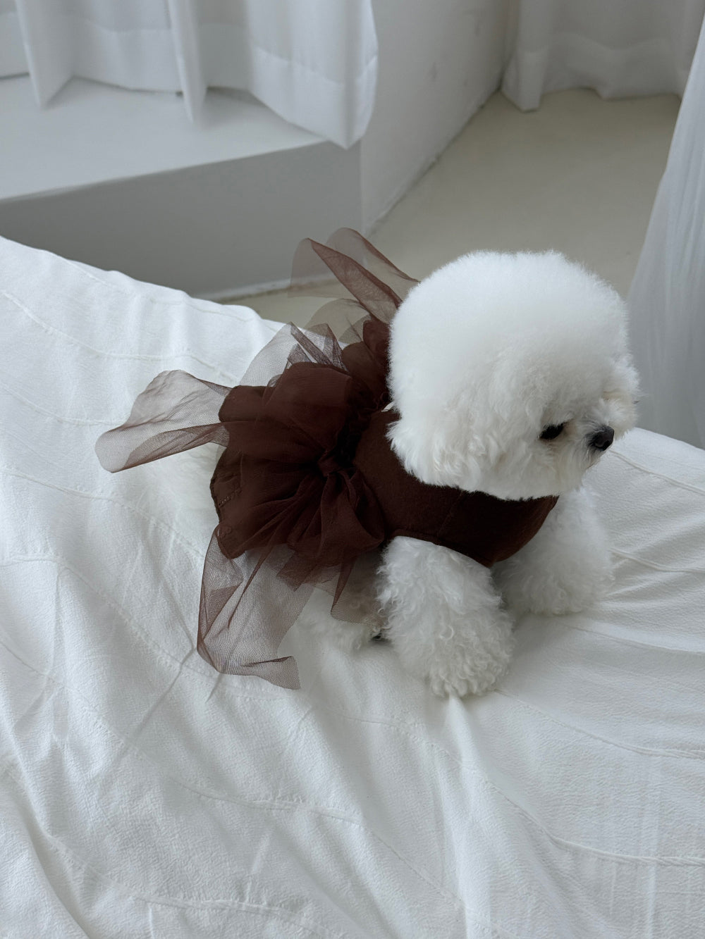 【PRE-ORDER】Full Brown Dress