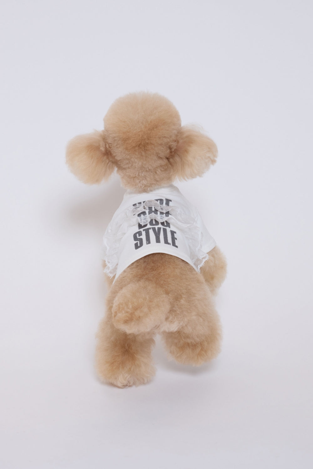 Pure Dog Lace Top ホワイト