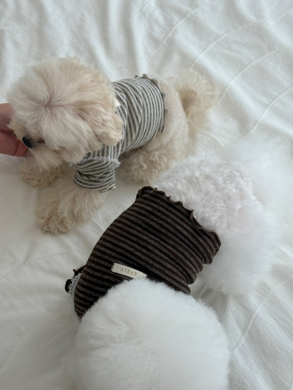 【PRE-ORDER】Wool Stripe Top 全2色