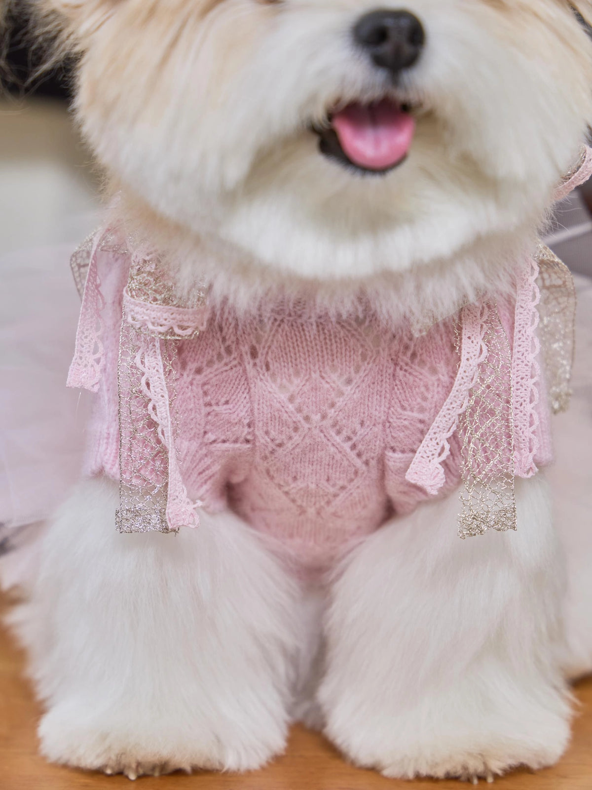 Patissier Tutu Dress 全3色