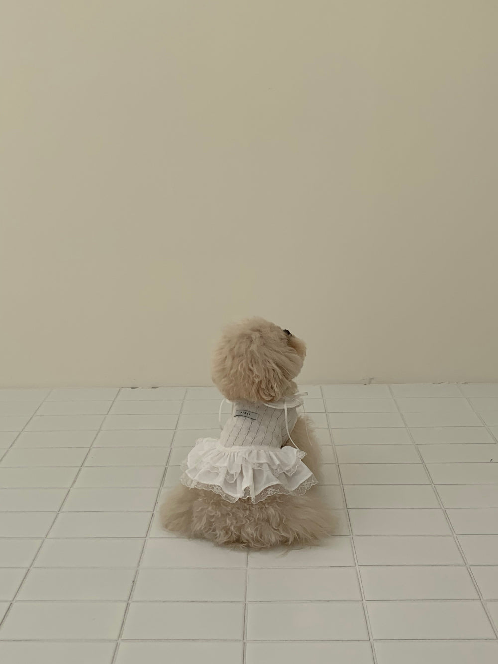 Soft Collar One-piece