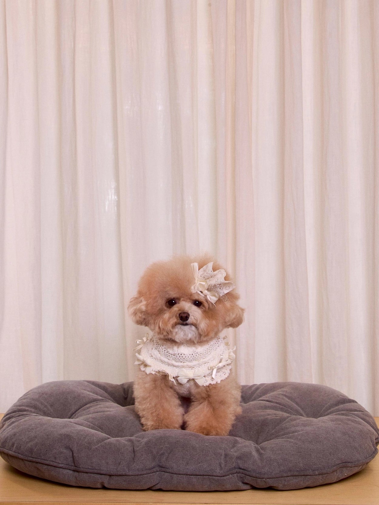 Lace Garden Hairpin 全3色