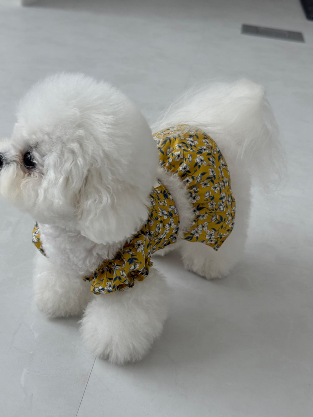【PRE-ORDER】Liberty Yellow Floral Dress
