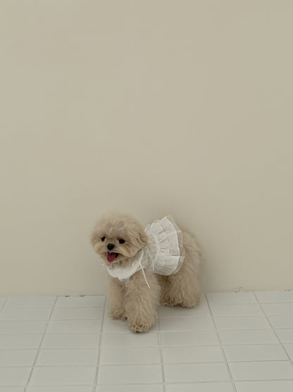Soft Collar One-piece