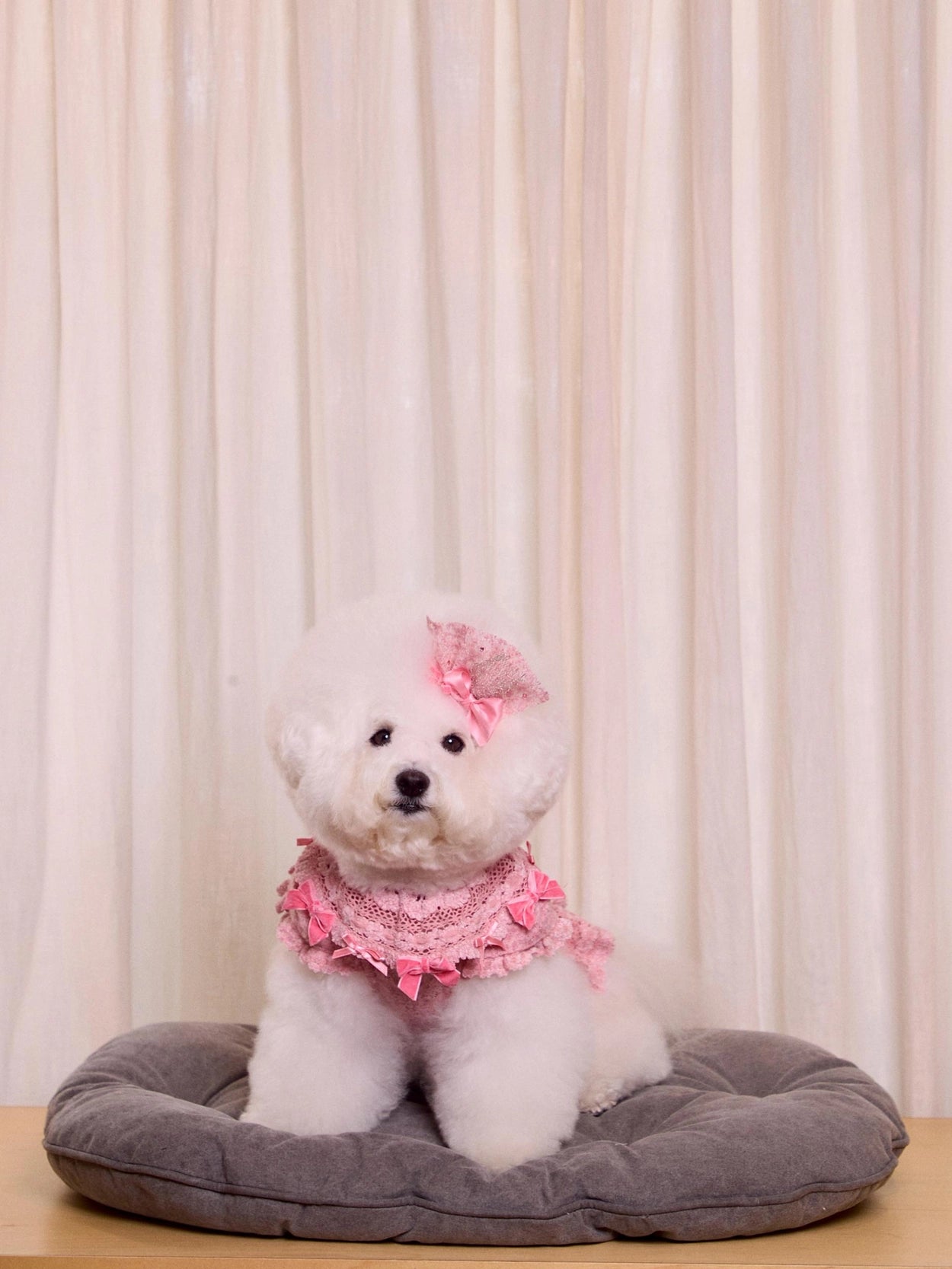 Lace Garden Dress 全3色