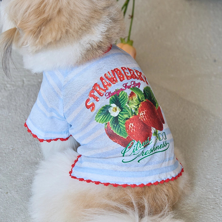 即納 Juicy Market T-Shirt 全3色