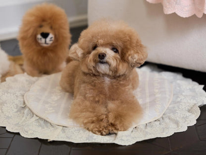 Chouchou Blanket 全3色