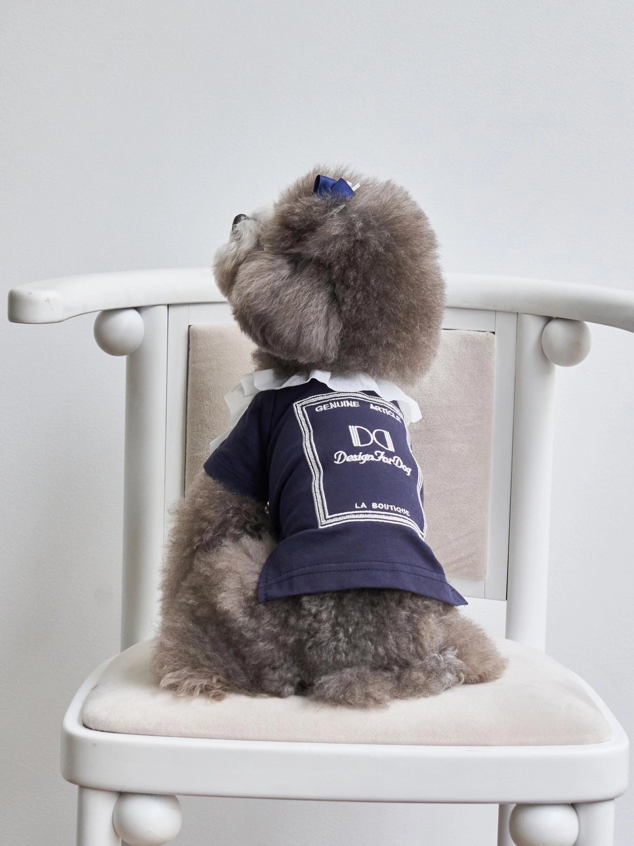 即納 Atelier T-shirt 全3色