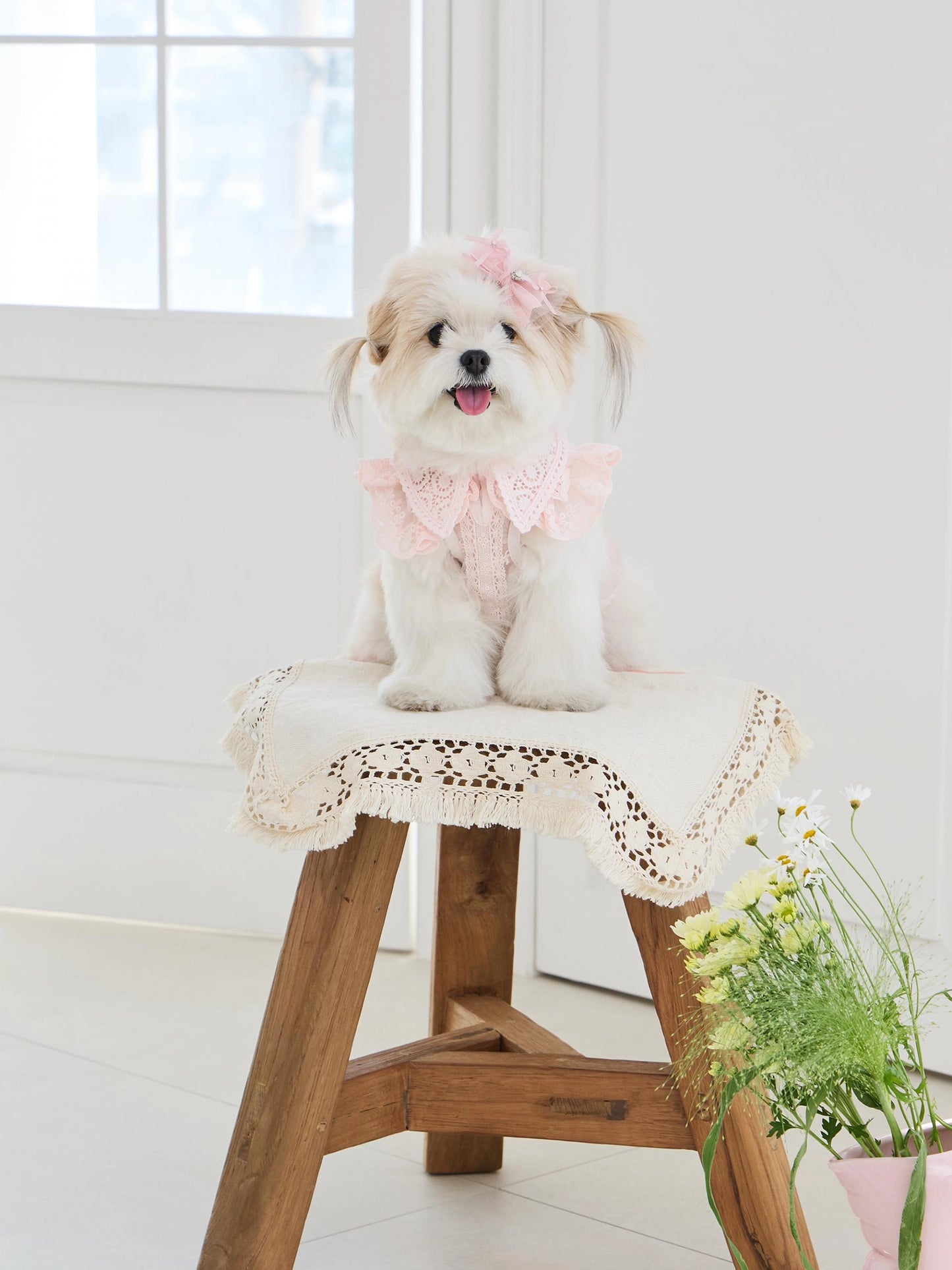 Sweetie Bebe Dress 全3色