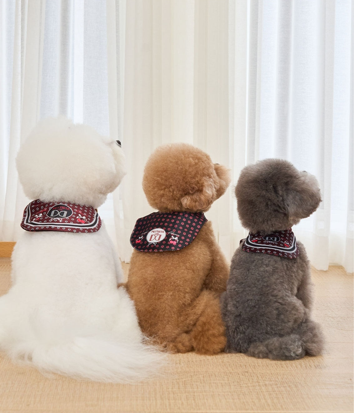 即納 ［Design For Dog x PETTISTA］Velvet Cape Wine&Black