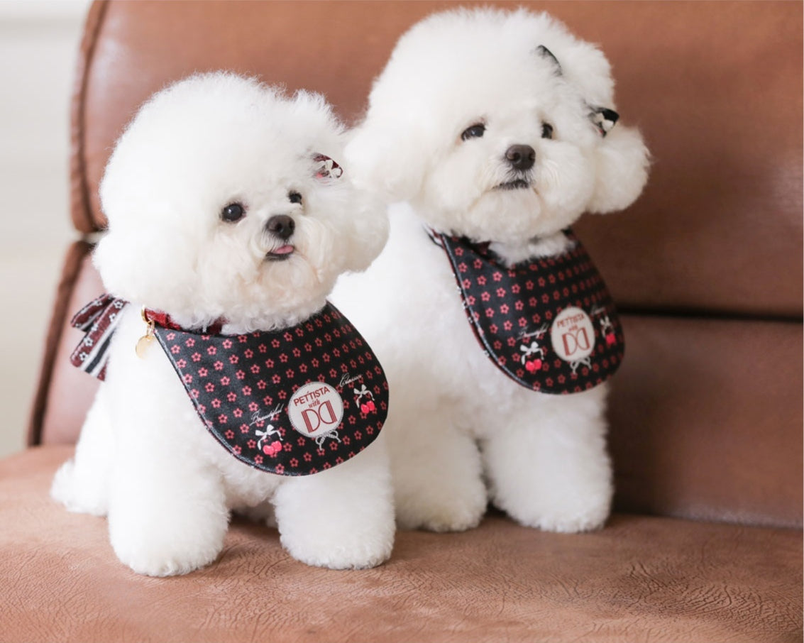 即納 ［Design For Dog x PETTISTA］Velvet Cape Wine&Black