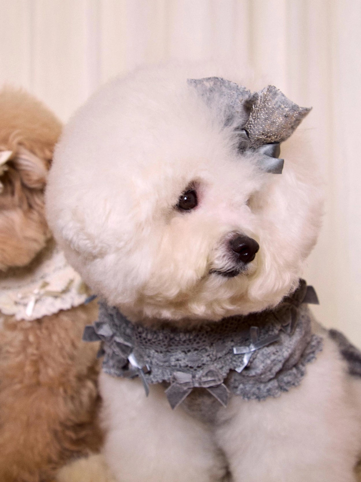 Lace Garden Dress 全3色