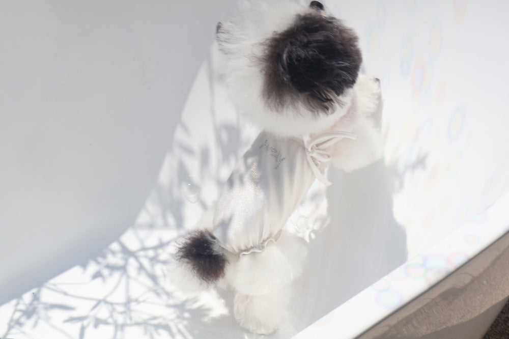 【PRE-ORDER】Pearl Swim Suit 全2色