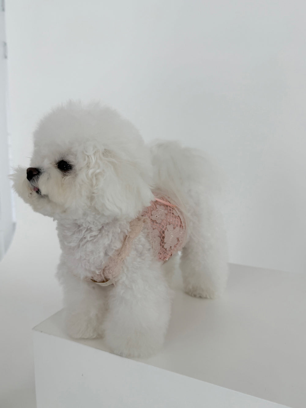 【PRE-ORDER】Pink Leather Mesh Top