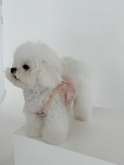 【PRE-ORDER】Pink Leather Mesh Top