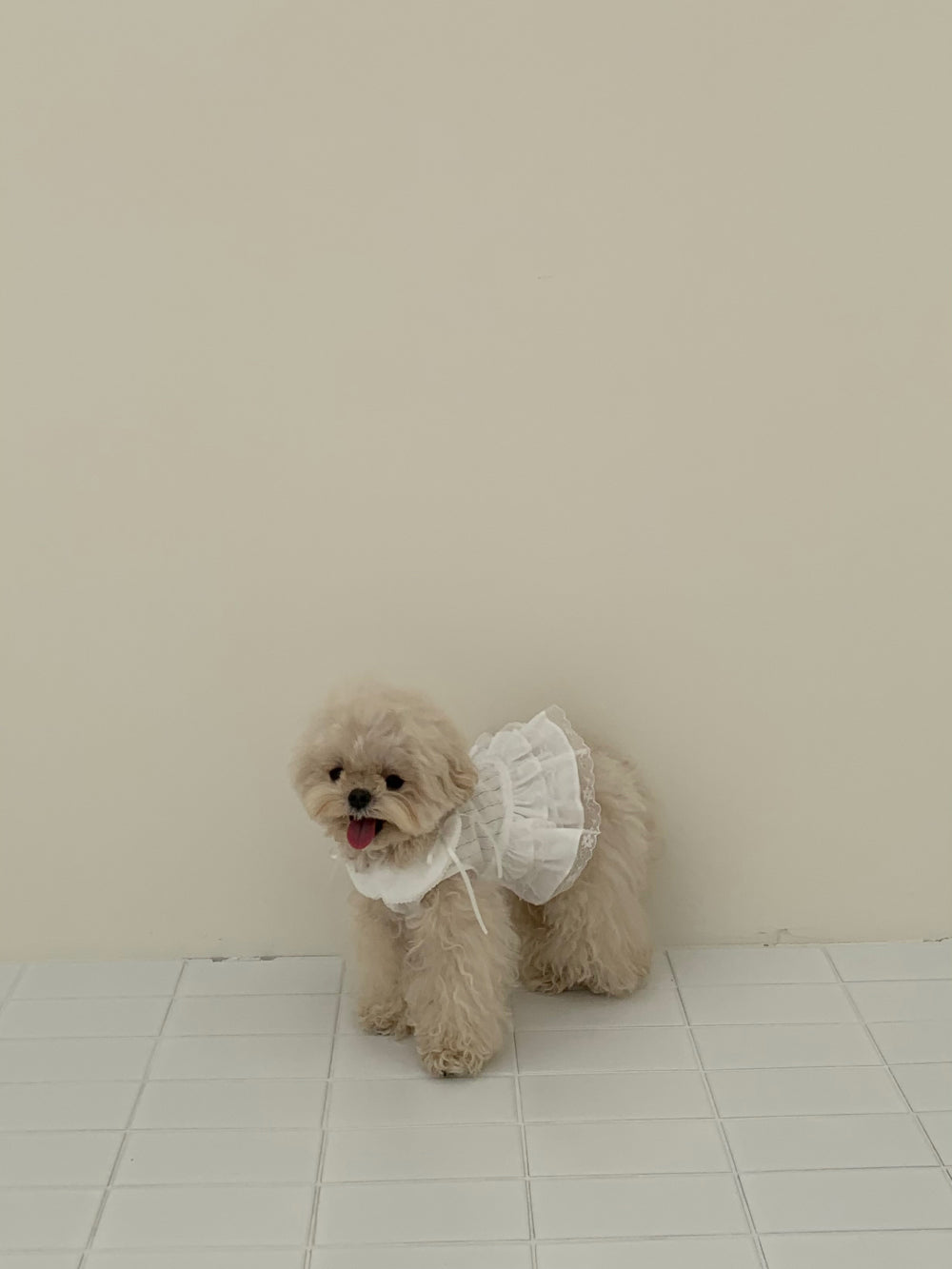 Soft Collar One-piece