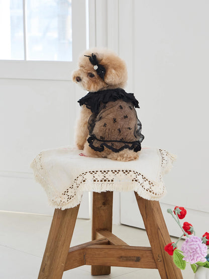 Sweetie Bebe Dress 全3色