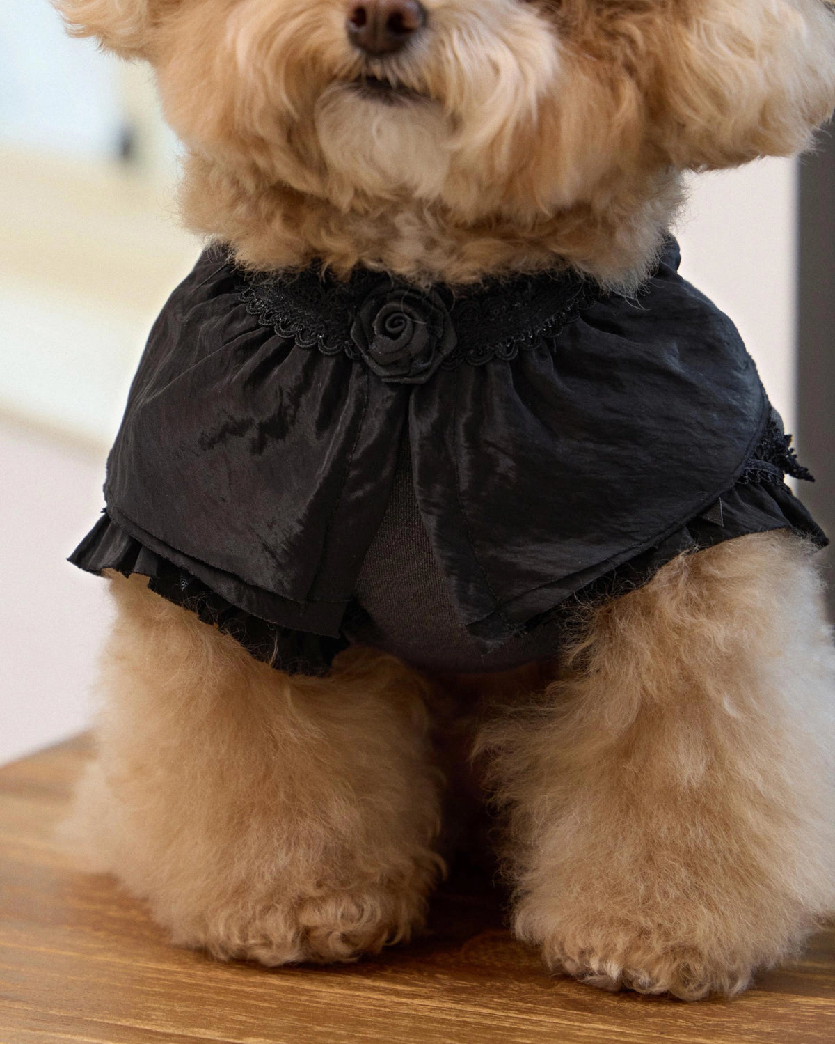 Plié Belle Blouse 全3色