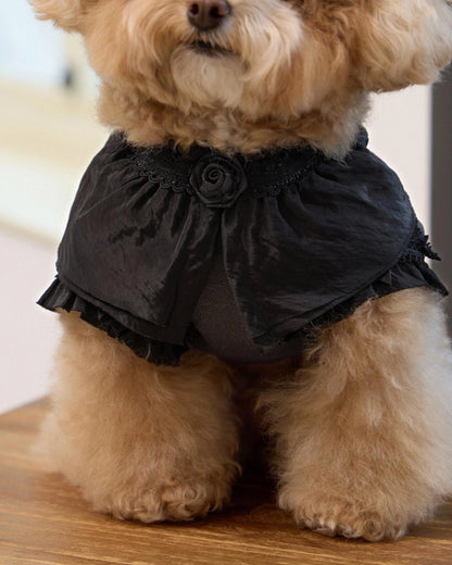 Plié Belle Blouse 全3色