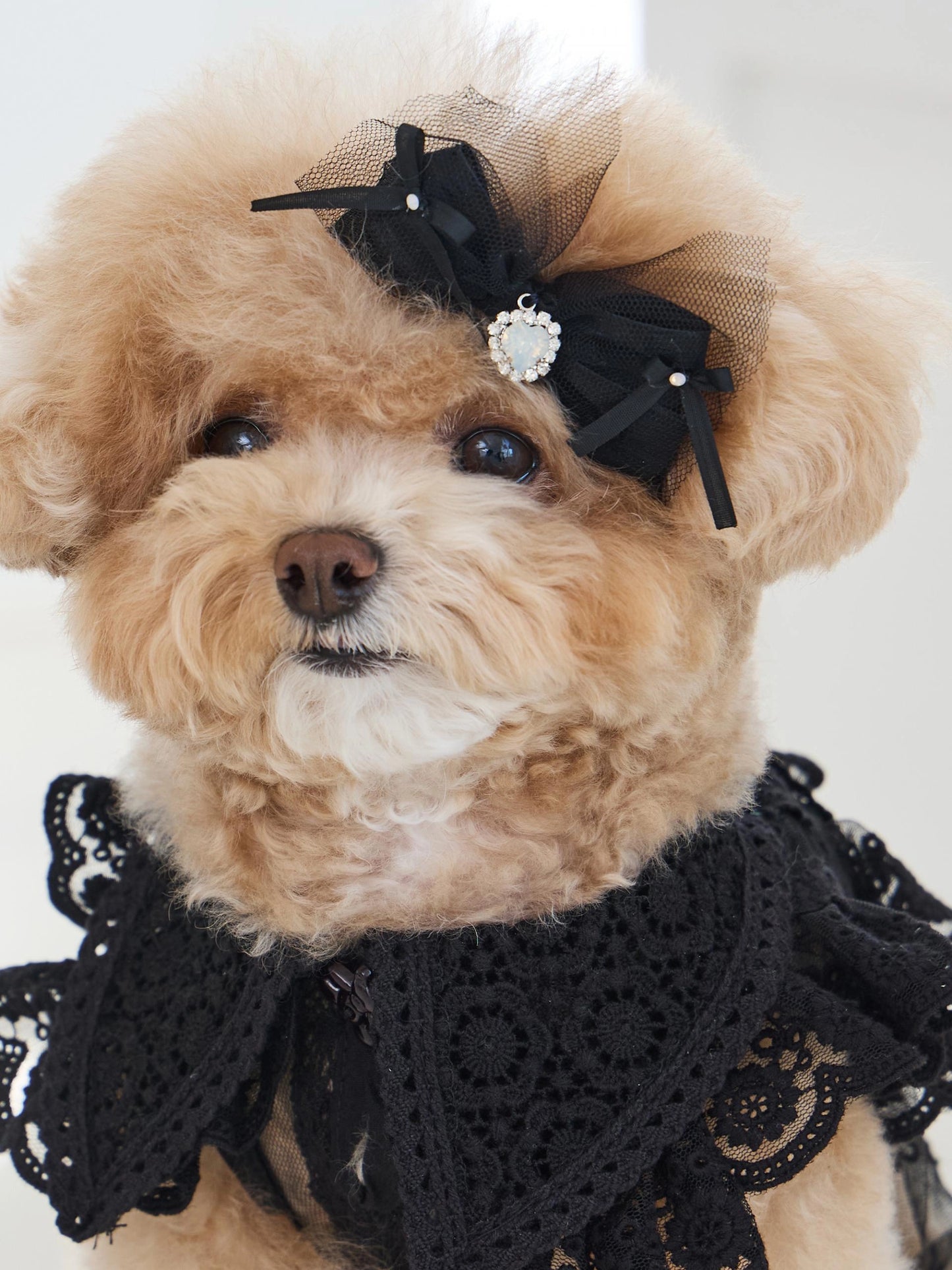 Sweetie Bebe Hairpin 全3色
