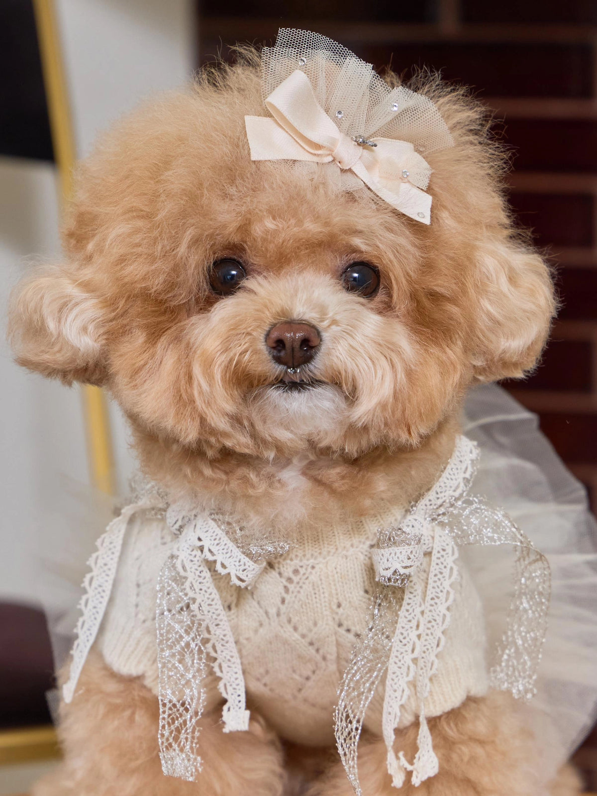 Patissier Tutu Dress 全3色