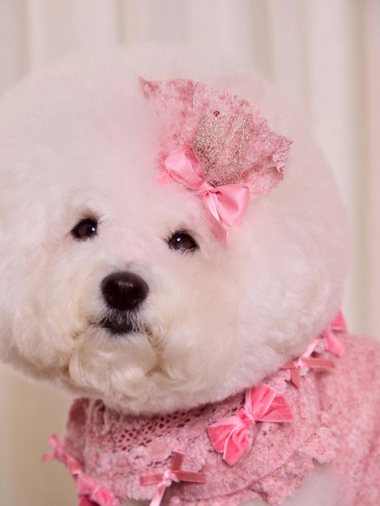 Lace Garden Hairpin 全3色