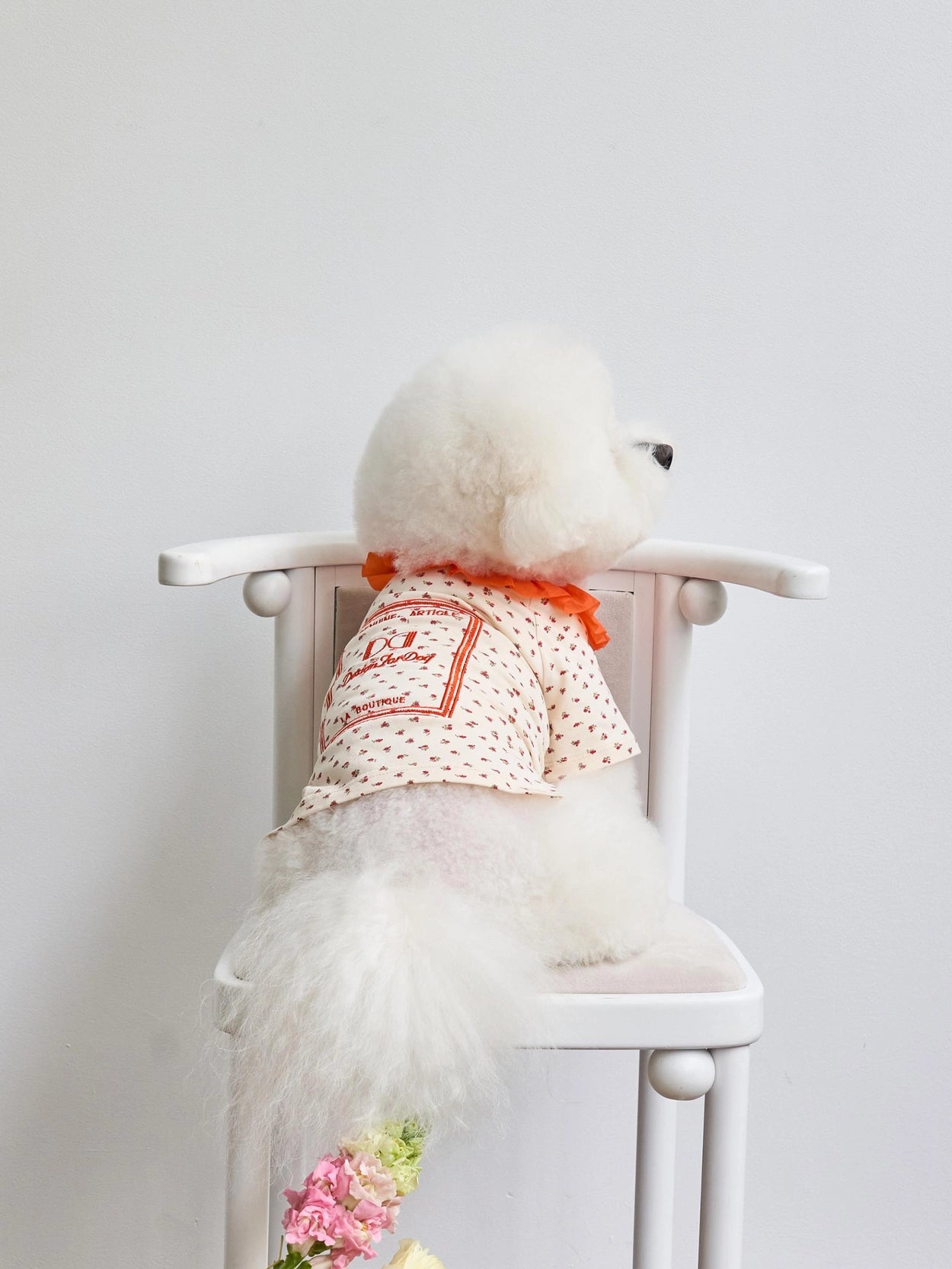 即納 Atelier T-shirt 全3色