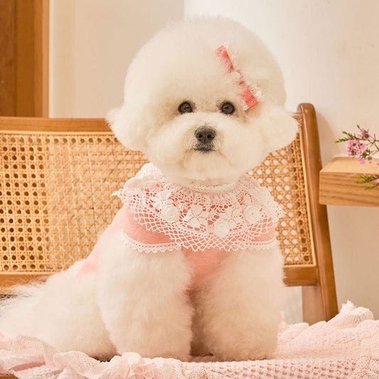 即納 Blanc Rose T ピーチ