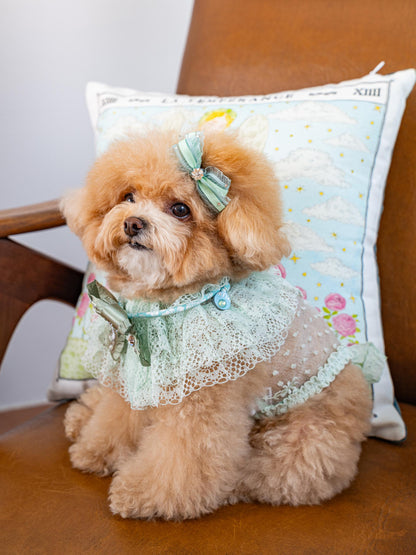 即納 My Little Muse 全3色