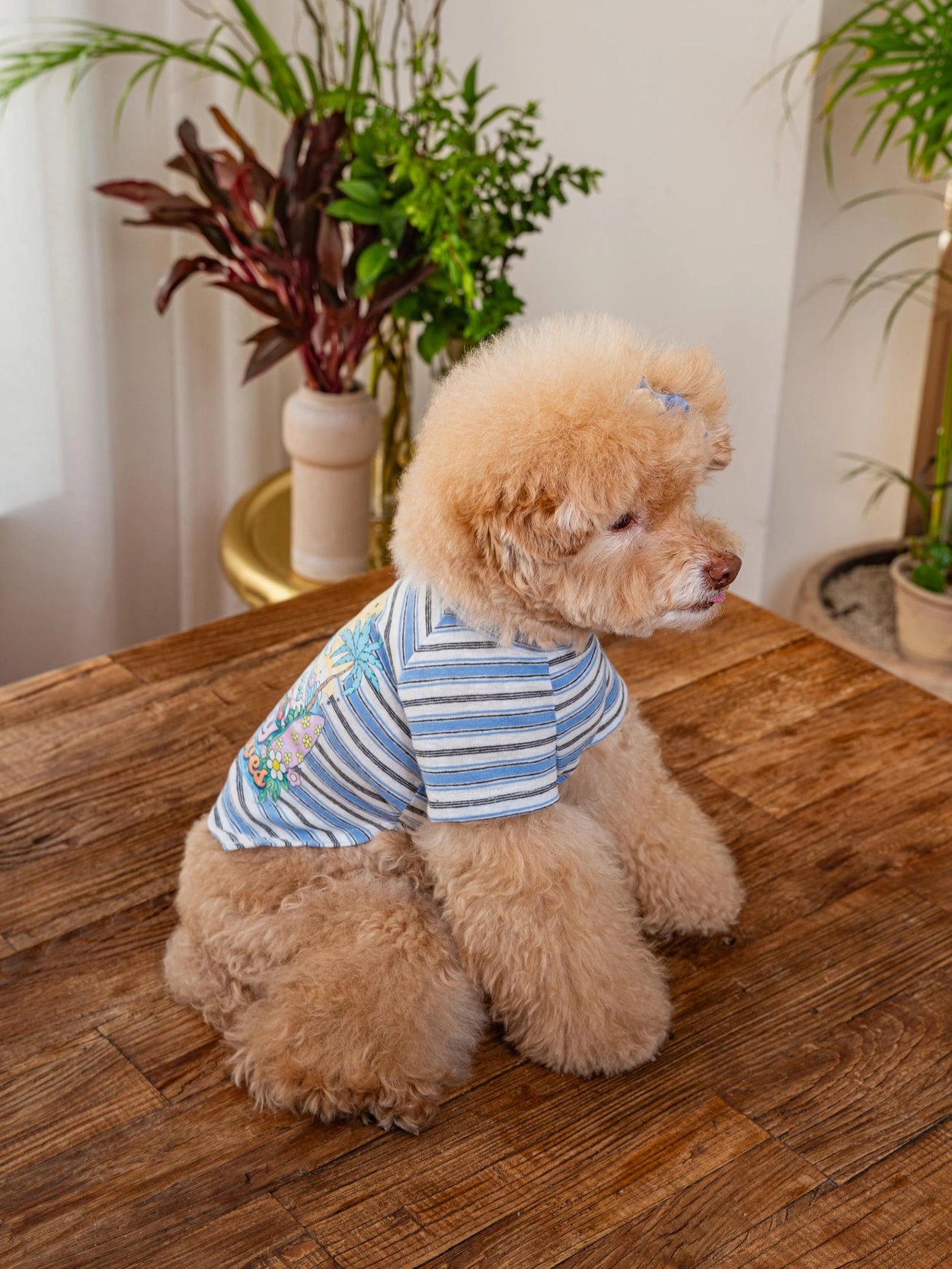 即納 Enjoy Wave T-Shirt 全3色