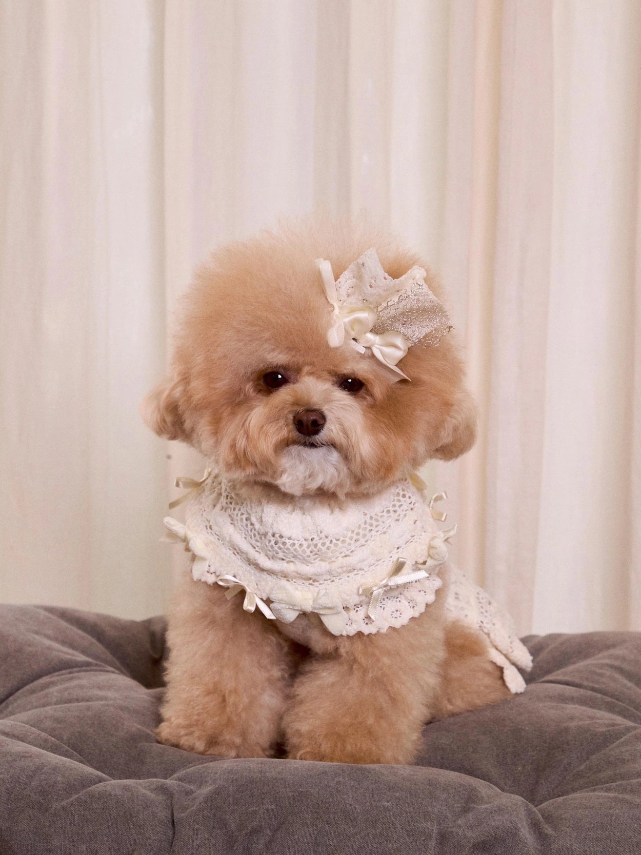 Lace Garden Dress 全3色