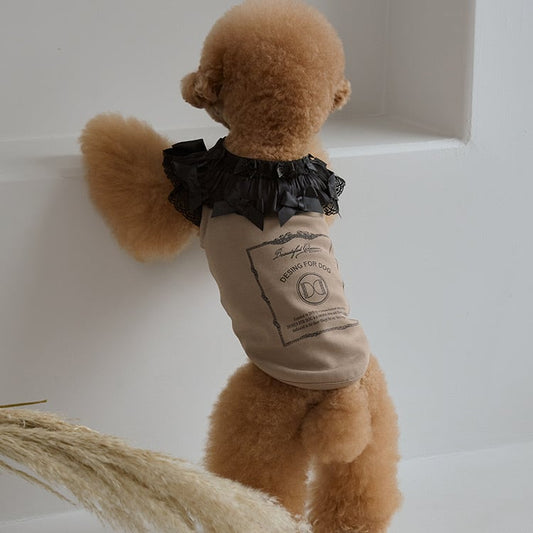 即納 Chocolat T-shirt ダーク