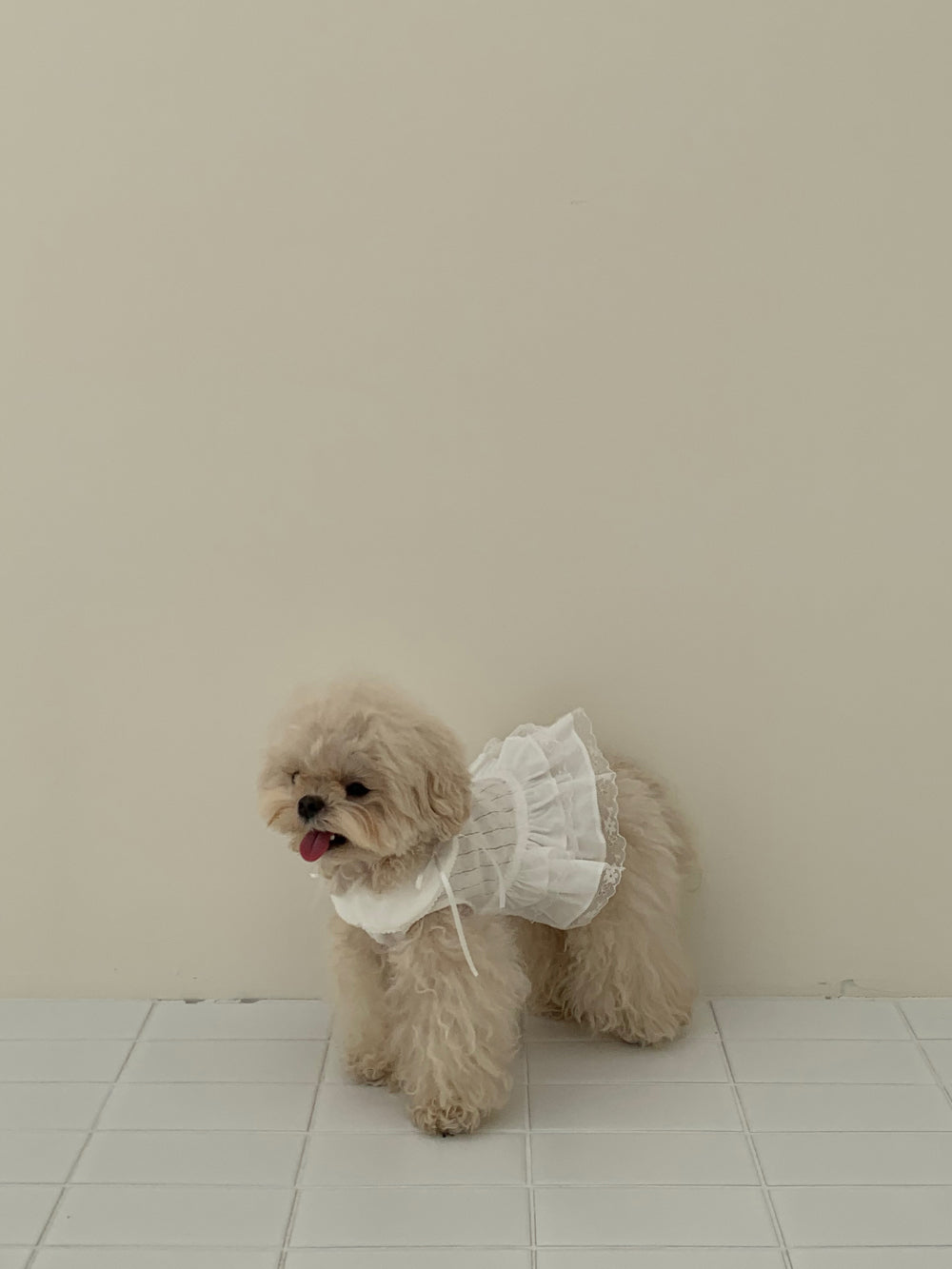 Soft Collar One-piece