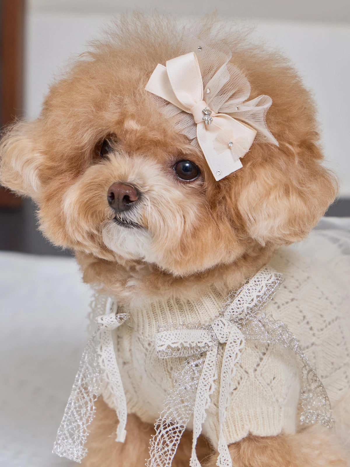 Patissier Tutu Dress 全3色