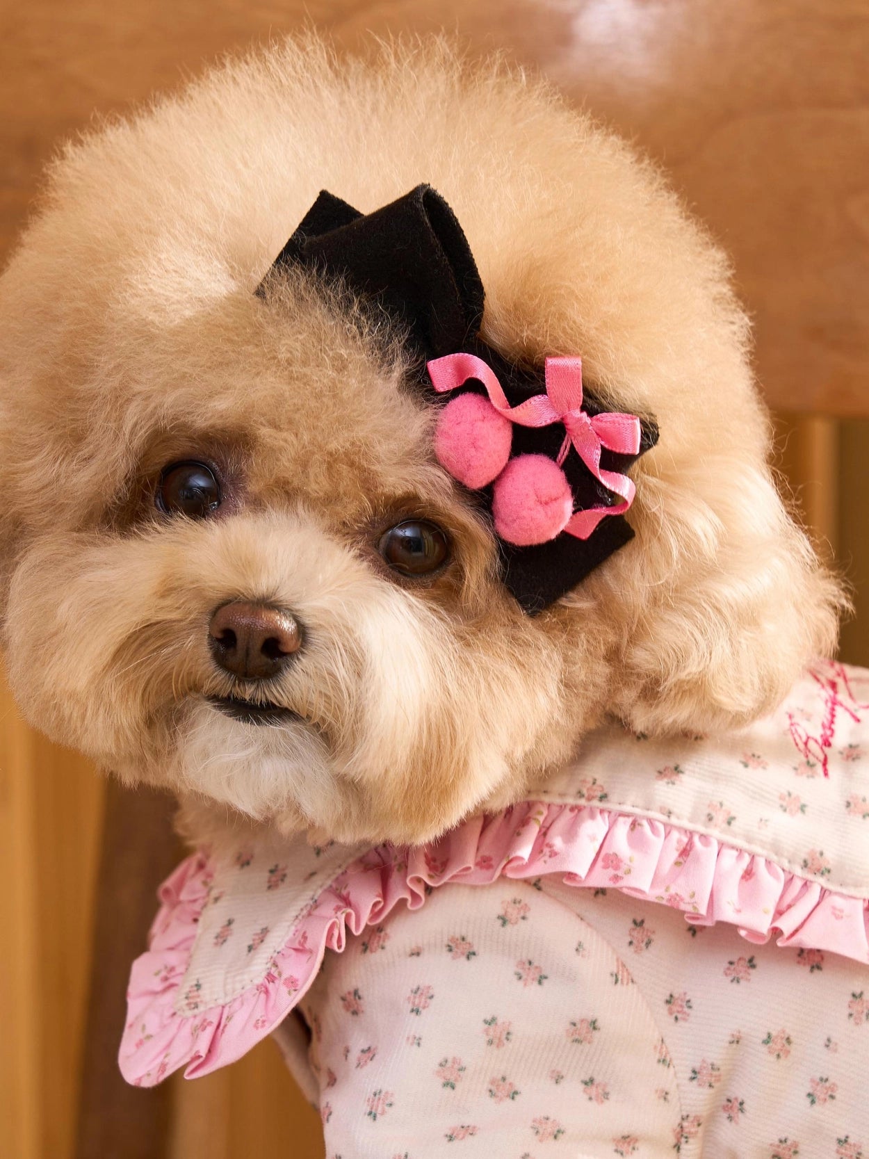 即納 Cherry Bongbong Hairpin 全3色